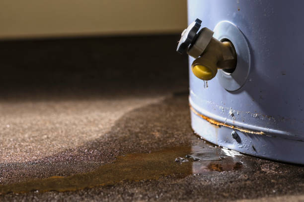 Best Emergency water damage restoration  in Jacksonville, FL