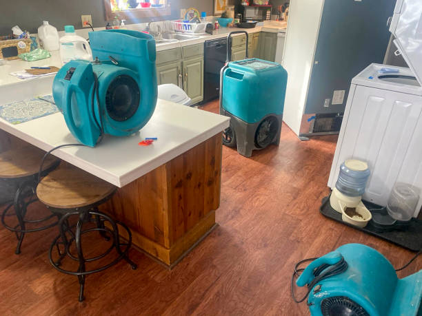 Best Carpet water damage restoration  in Jacksonville, FL