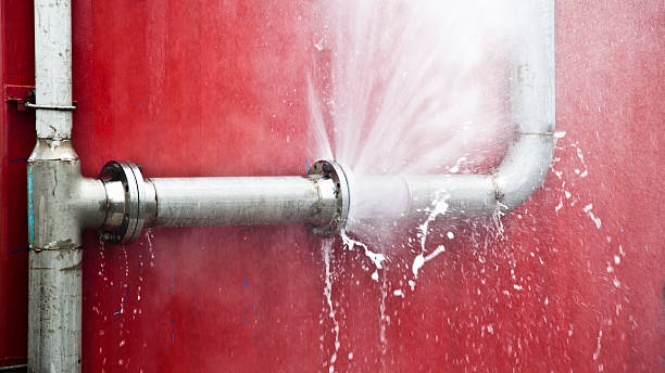 Best Sewage cleanup and water damage restoration  in Jacksonville, FL