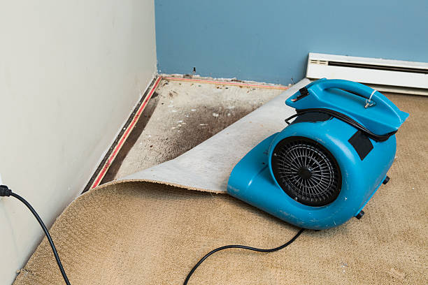 Best Water damage restoration near me  in Jacksonville, FL